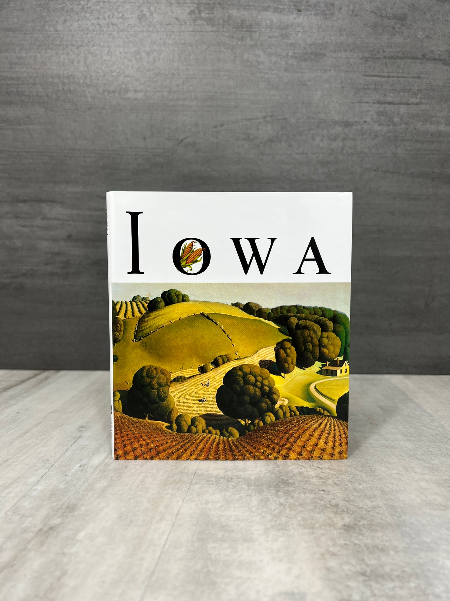 Iowa: Arte del Estado