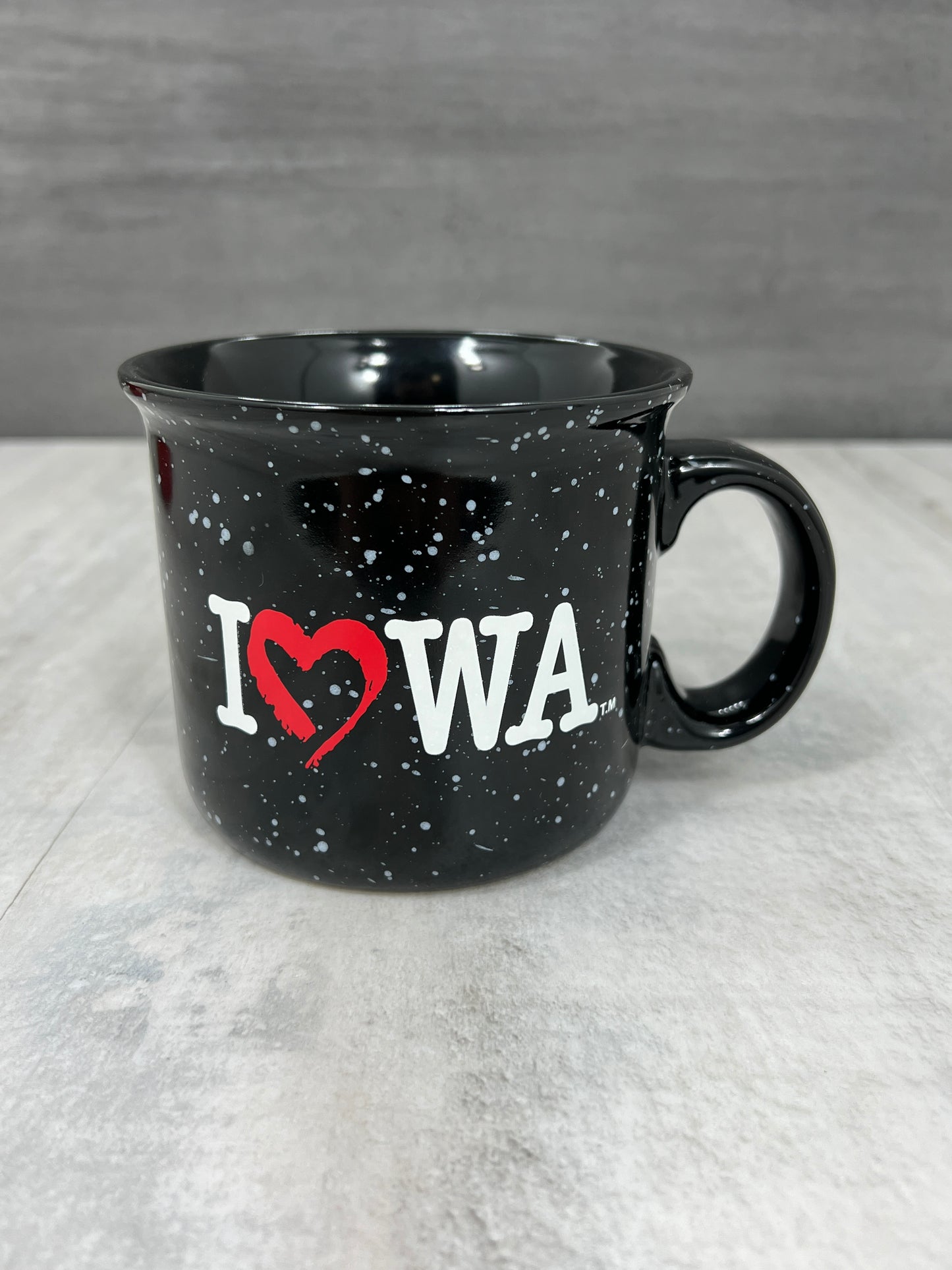 Iowa Campfire Mug