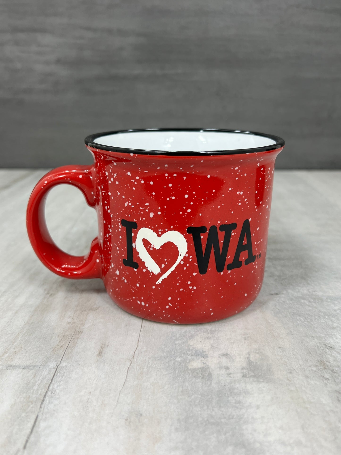 Iowa Campfire Mug