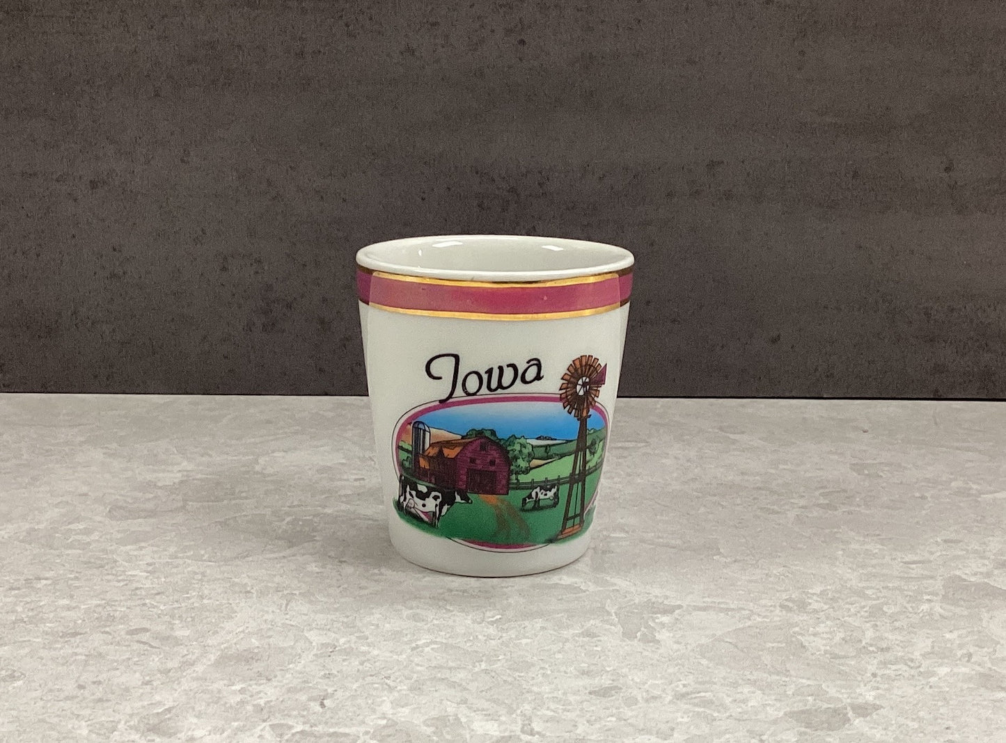 Iowa Farm Scene Shot Glass