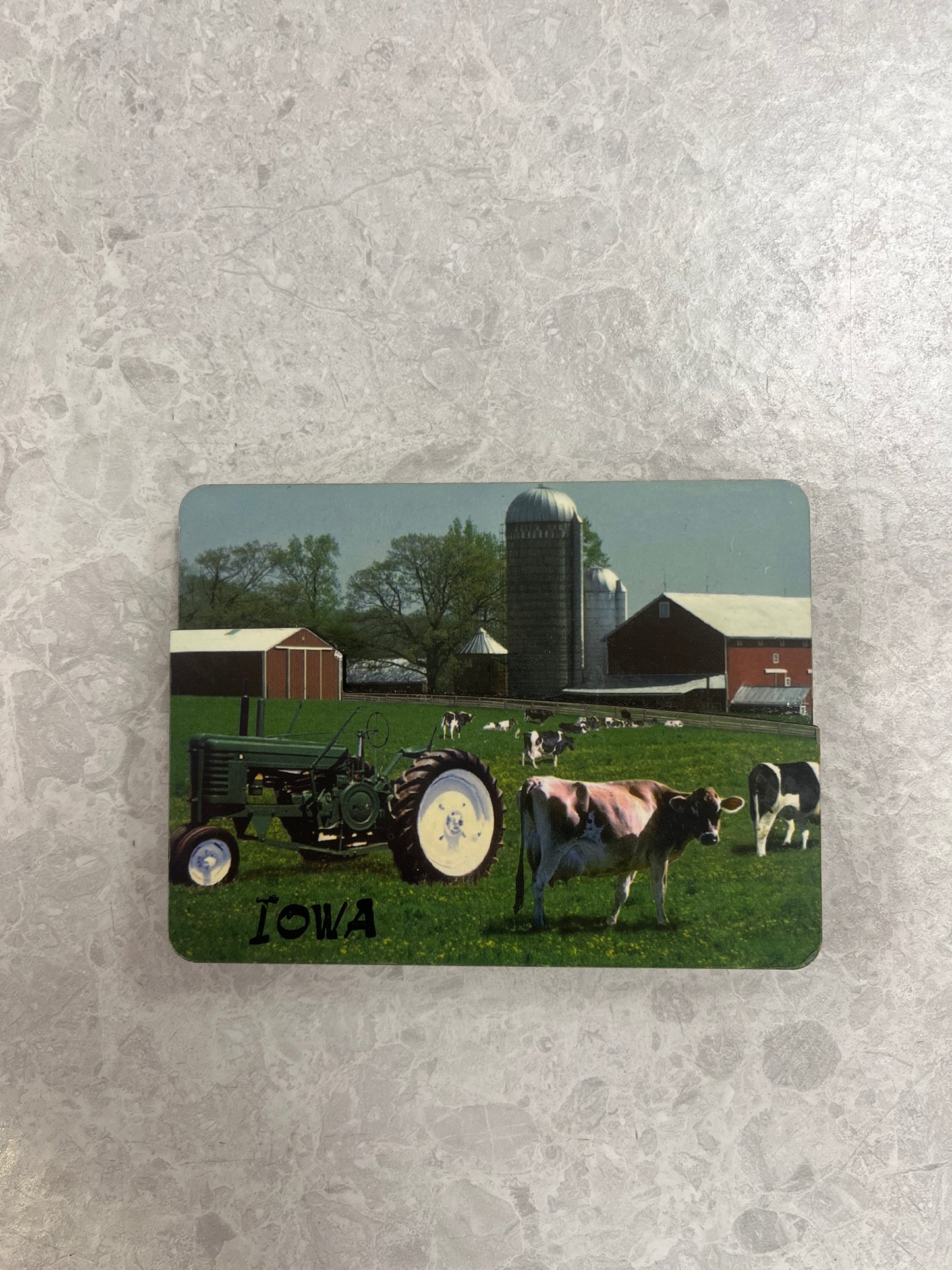 3-D Farm Scene Magnet