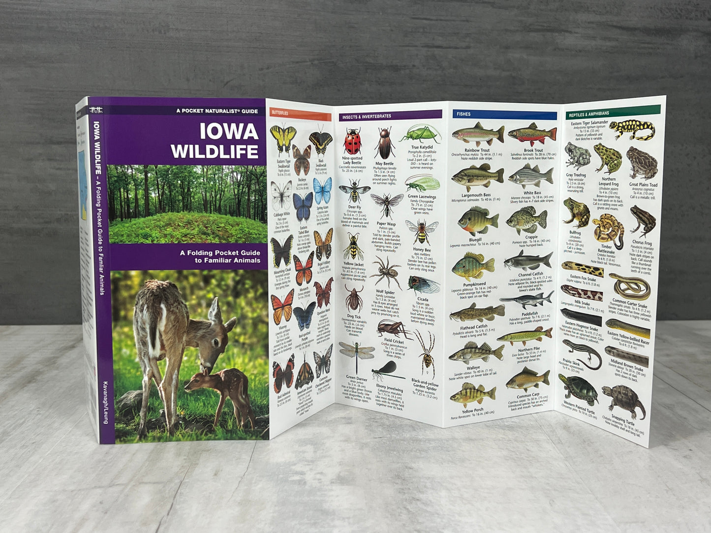 Iowa Nature Booklet