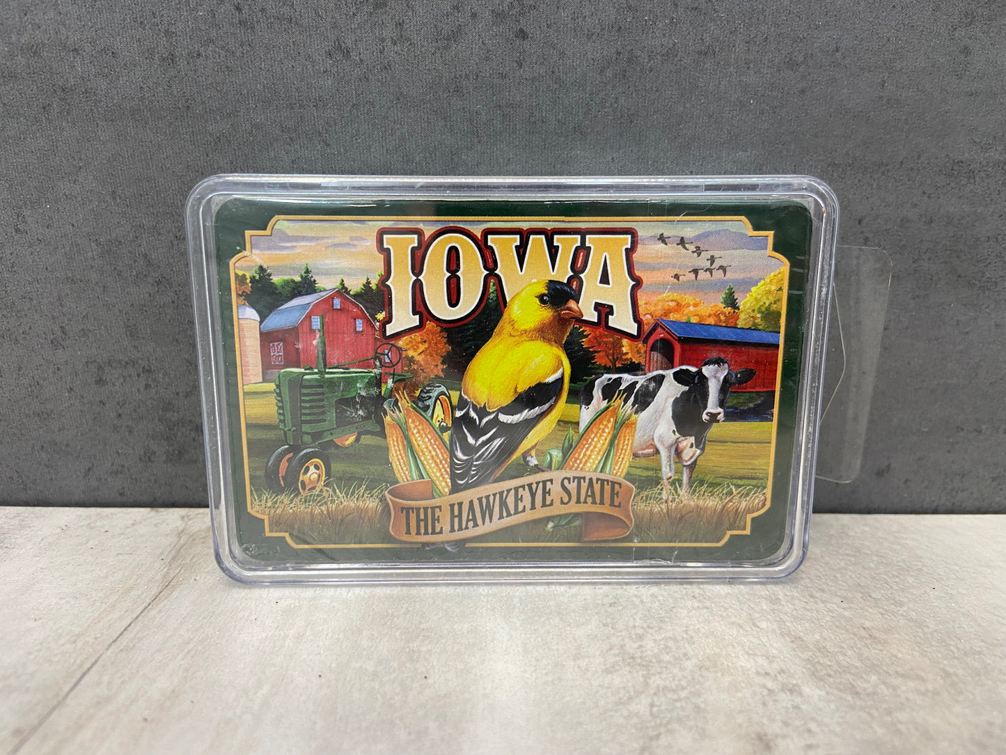 Iowa with Farm Mural Playing Cards