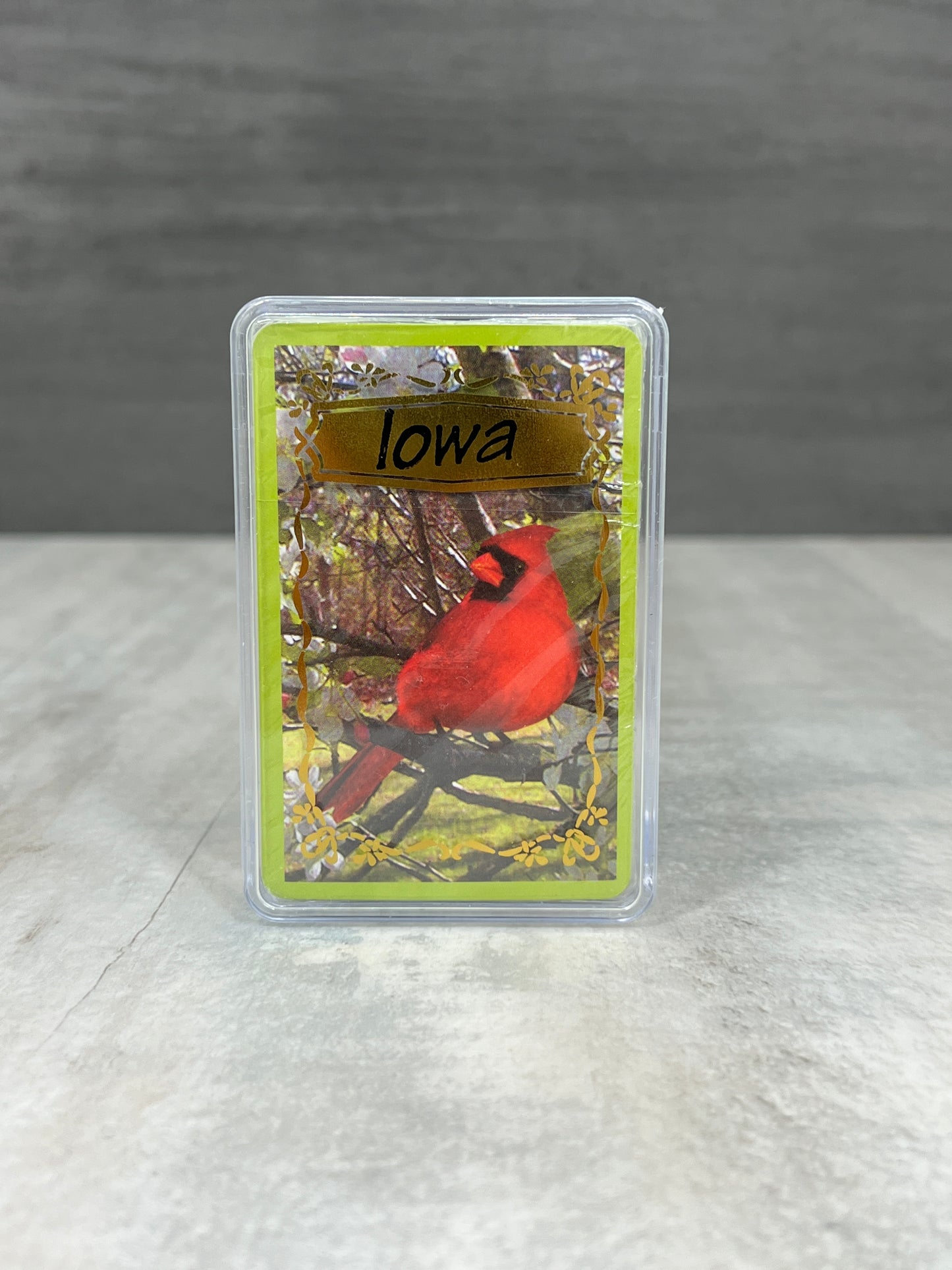 Playing Cards (plastic case)
