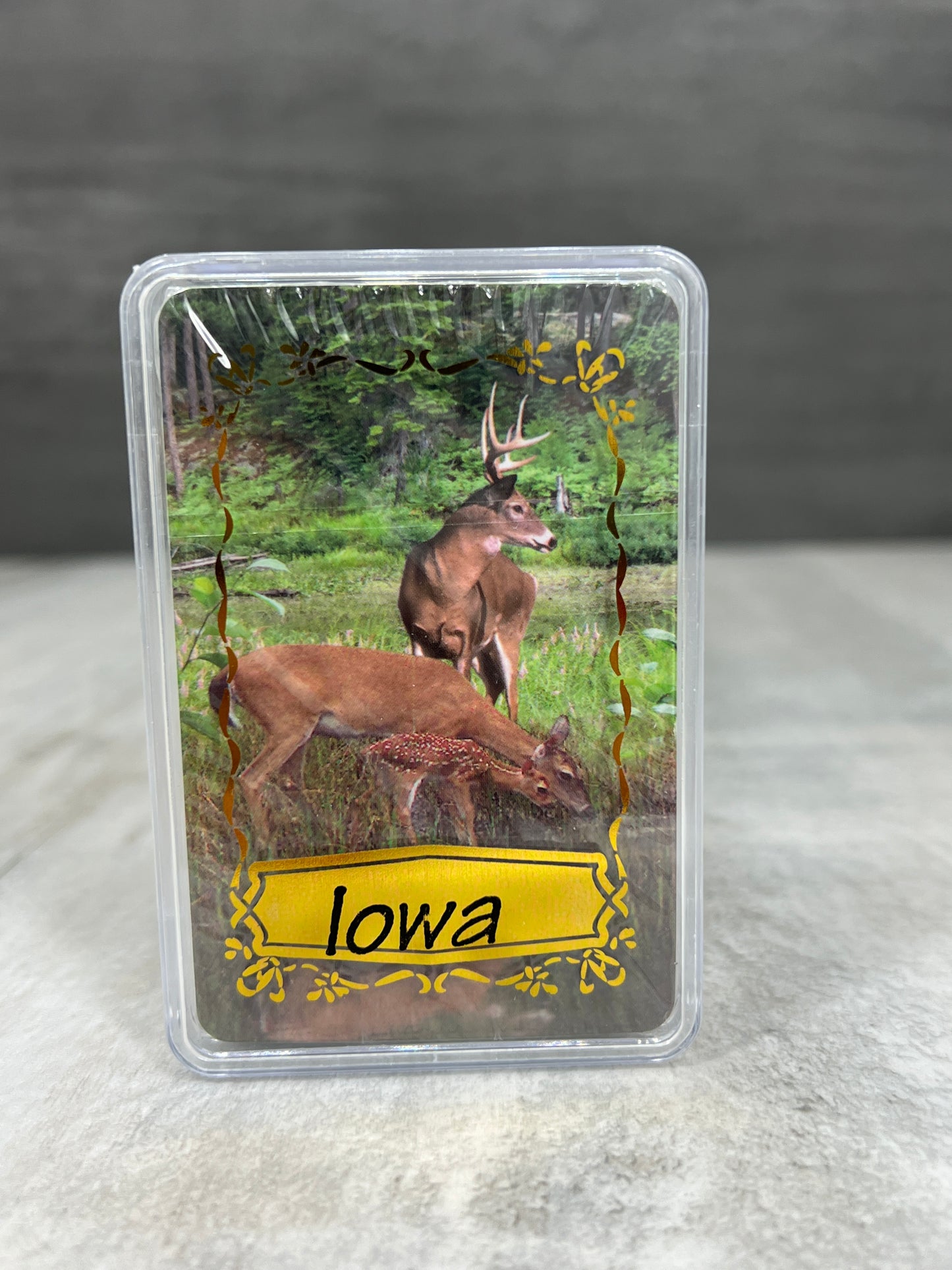 Playing Cards (plastic case)