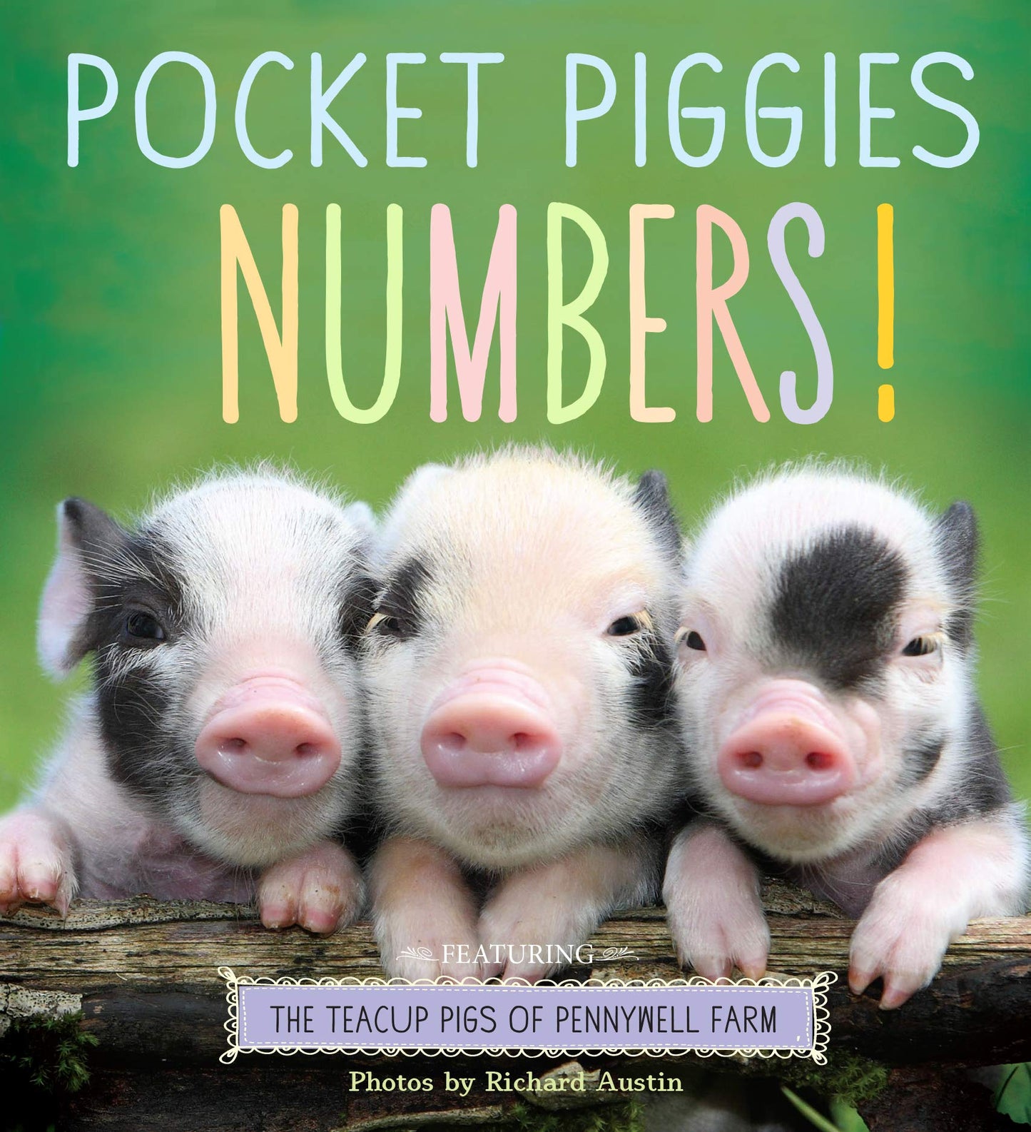 Pocket Piggies Books