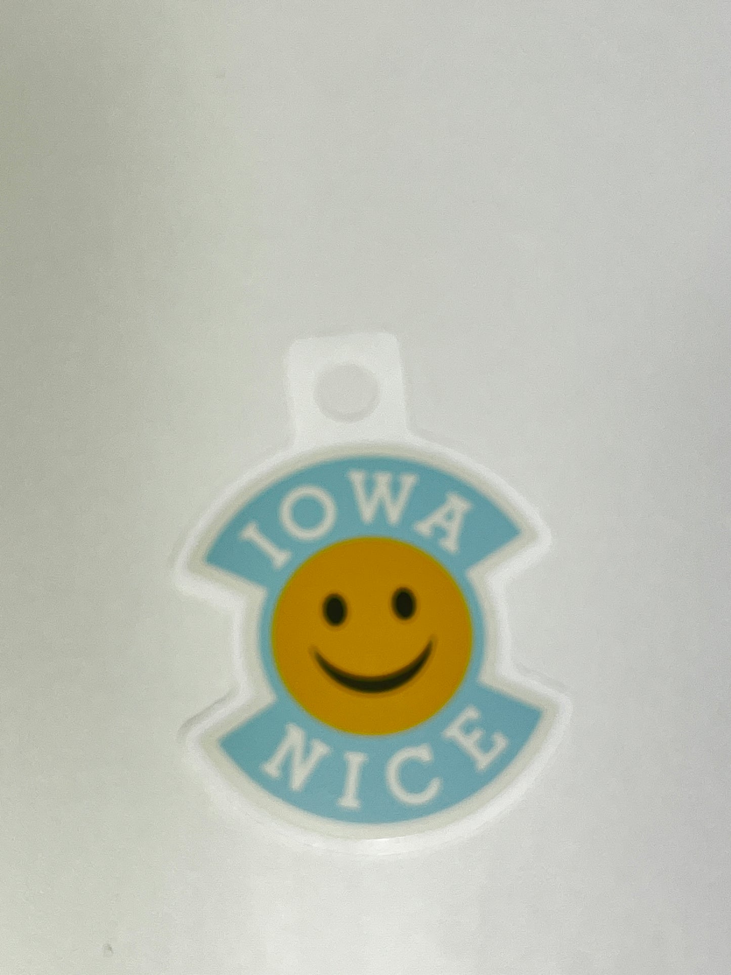 Pegatina de Iowa Nice
