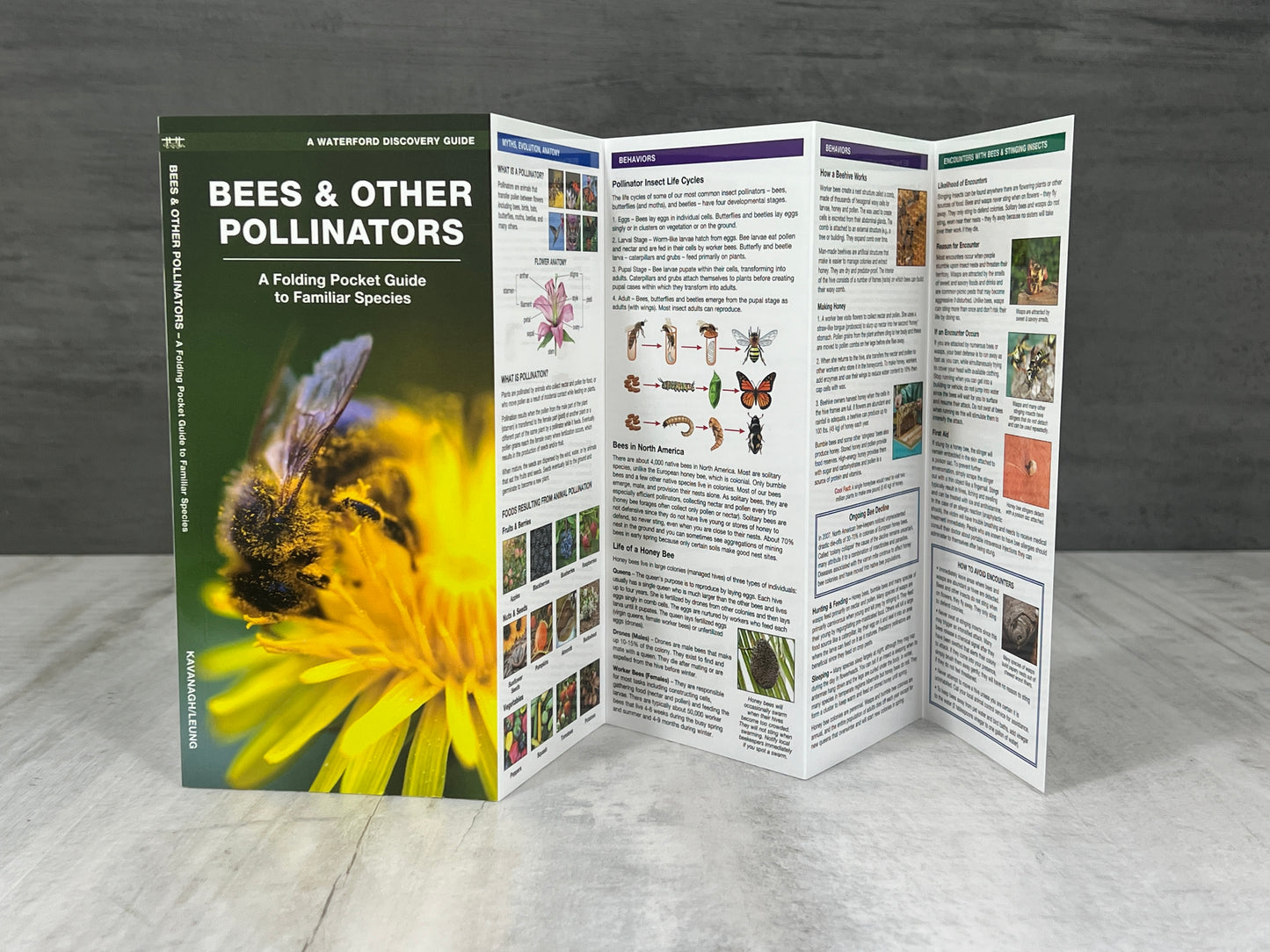 Iowa Nature Booklet