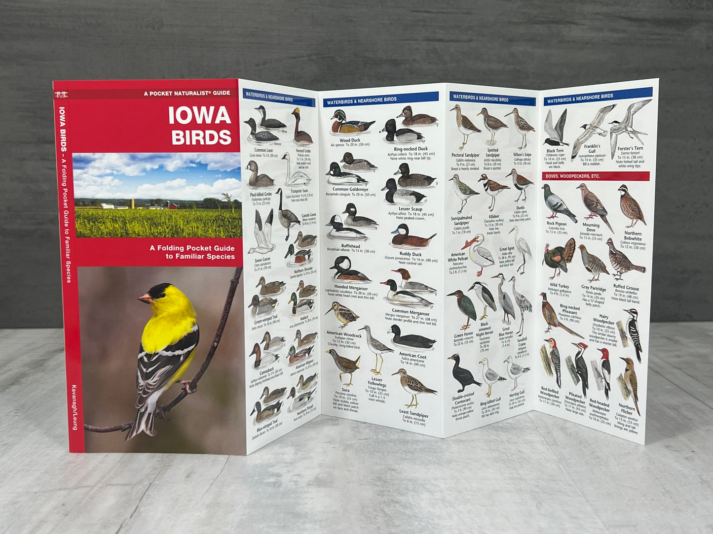 Iowa Nature Booklet
