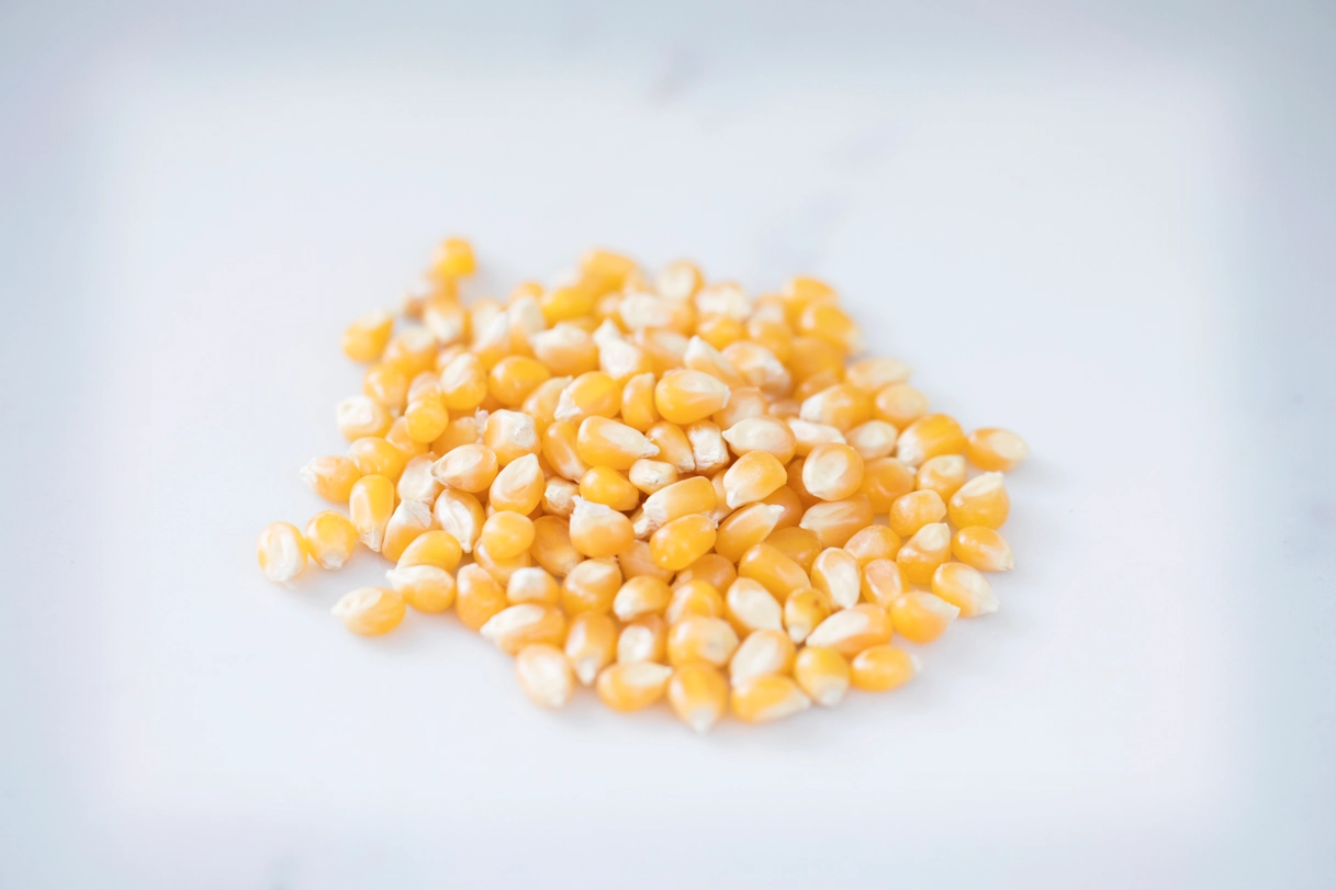 Amish Country Popcorn