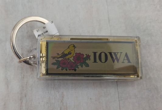 Iowa Solar Key Chain