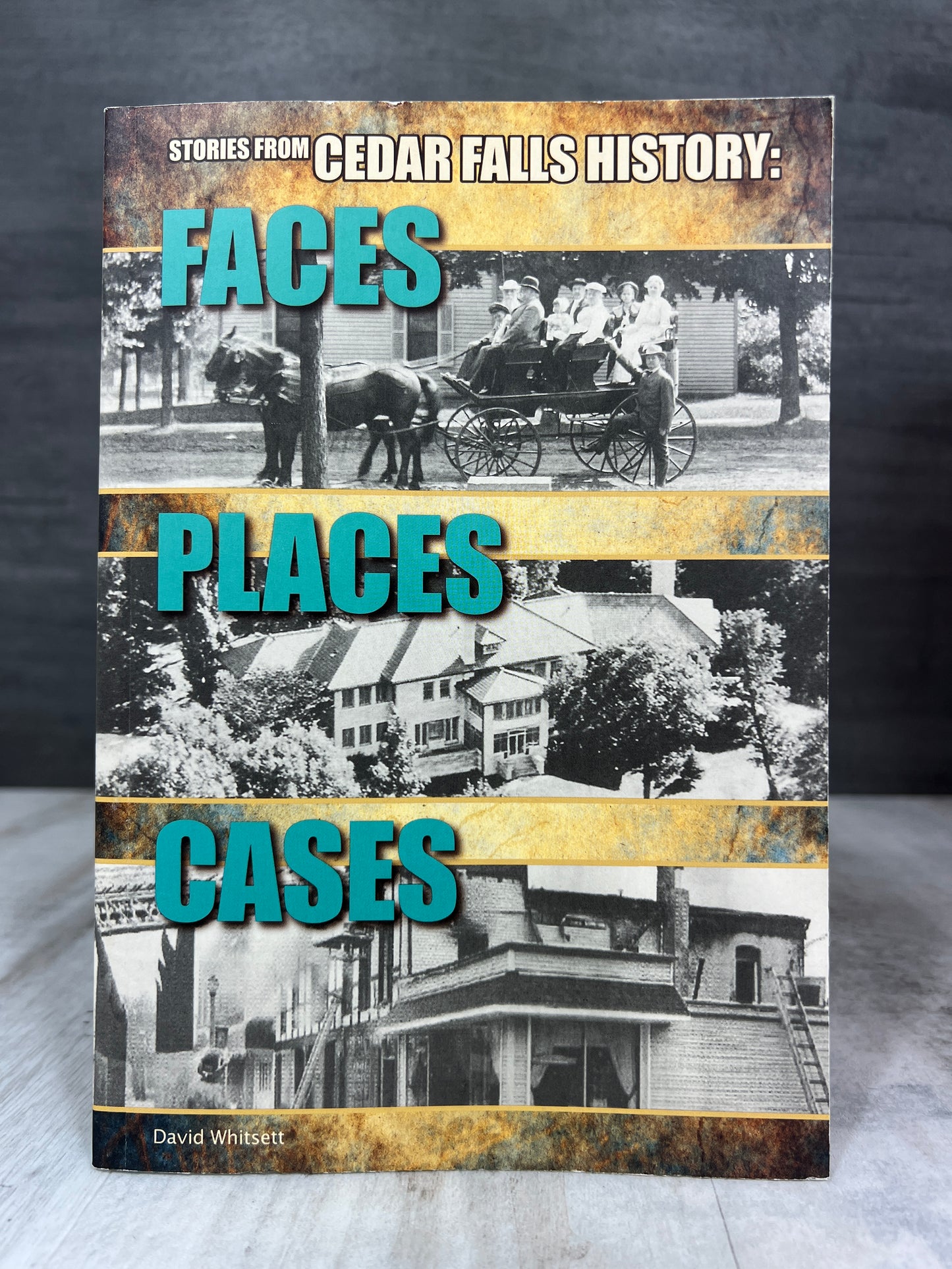 Faces, Places, Cases