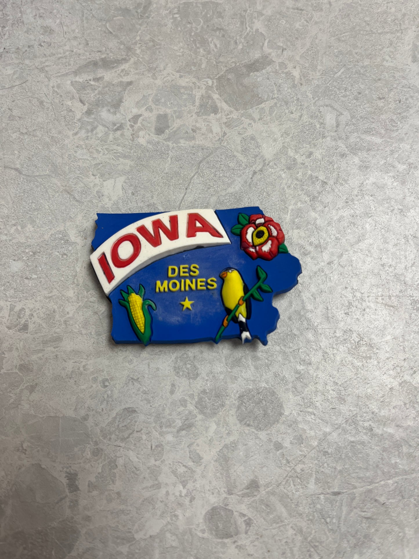 Iowa - Des Moines (Blue) Magnet
