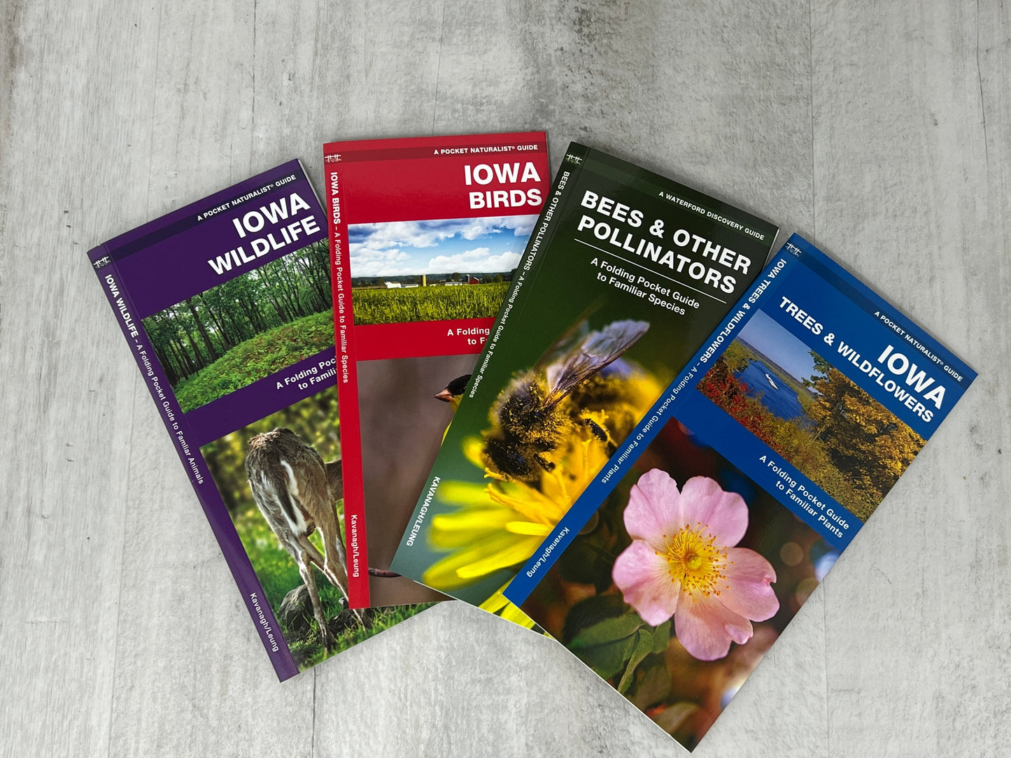 Iowa Nature Booklet