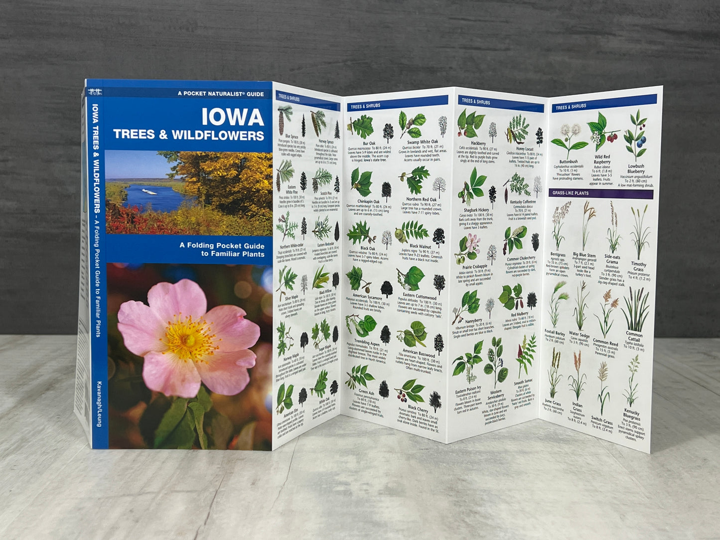 Iowa Nature Booklet