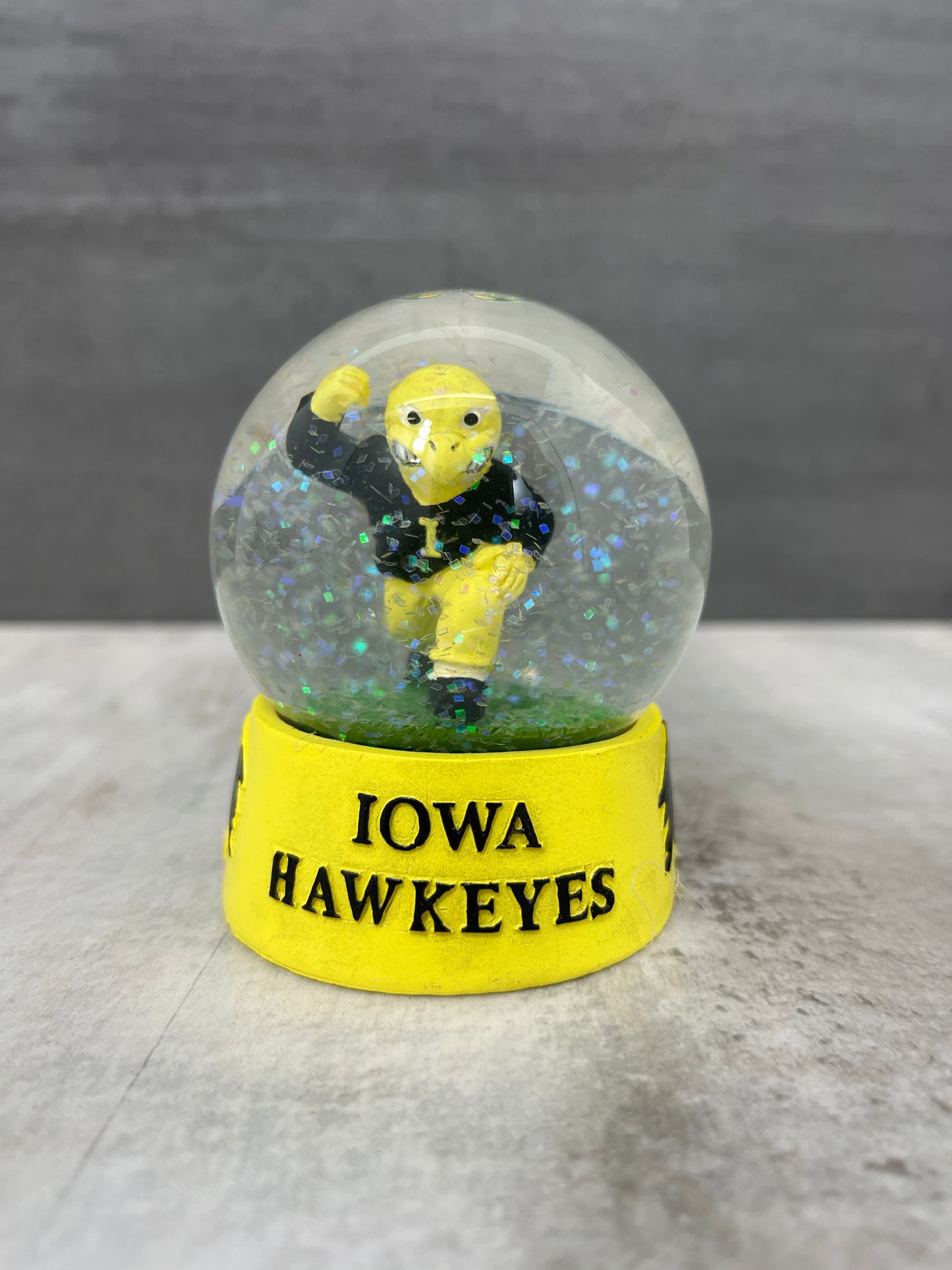 Iowa Hawkeye Water Globe