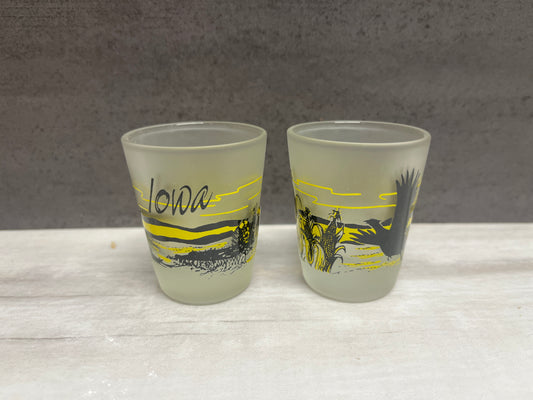Iowa Pheasant Shot Glass Black & Yellow