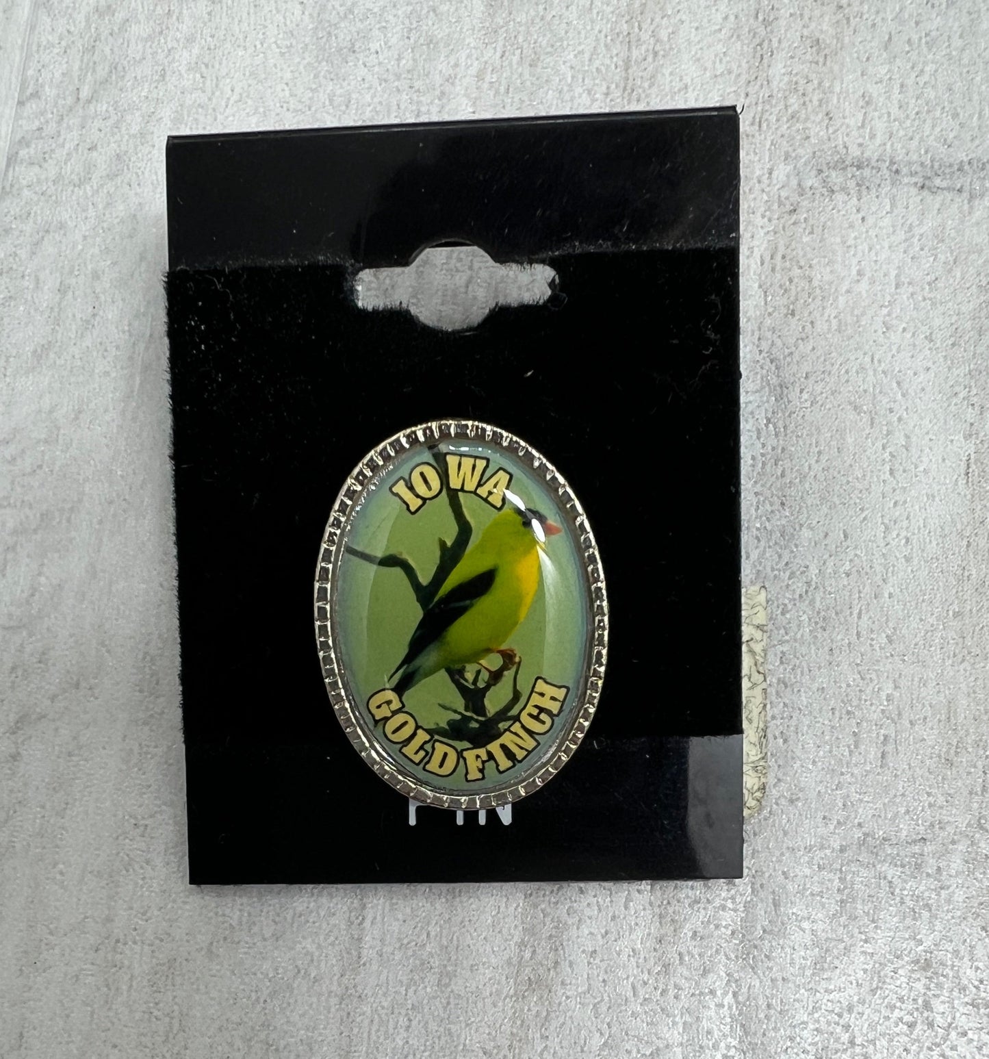 Iowa Oval Goldfinch Lapel Pin