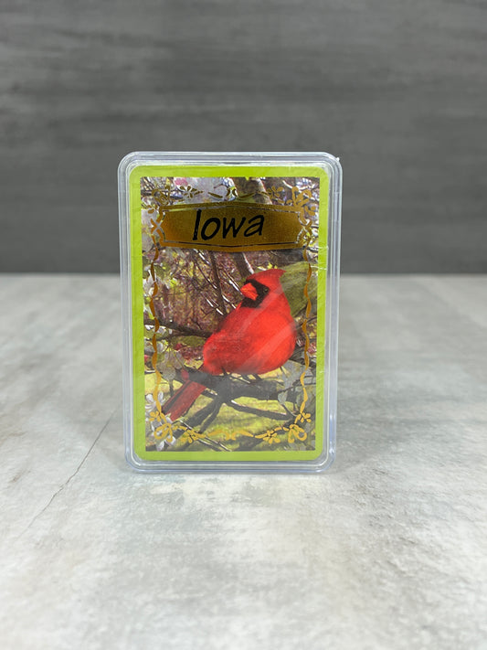 Naipes (estuche de plástico)