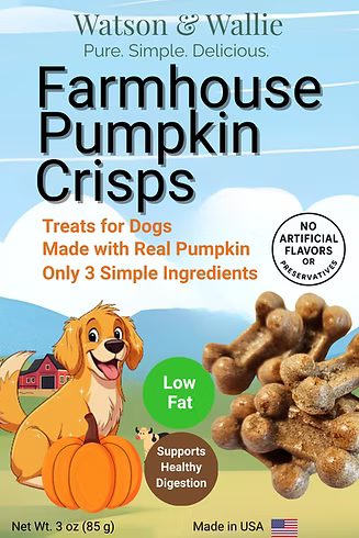 Flavored Dog Treats